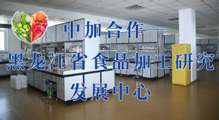 0459-6819235 同题参见
