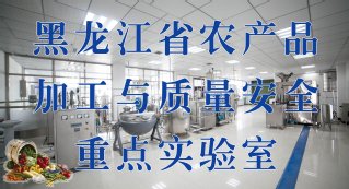 黑龙江省大庆市高新区新风路5号黑龙江