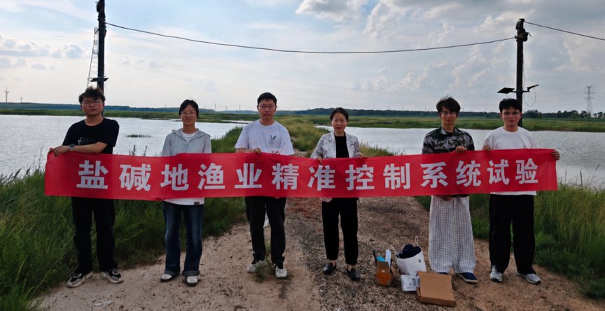 10 同类内容